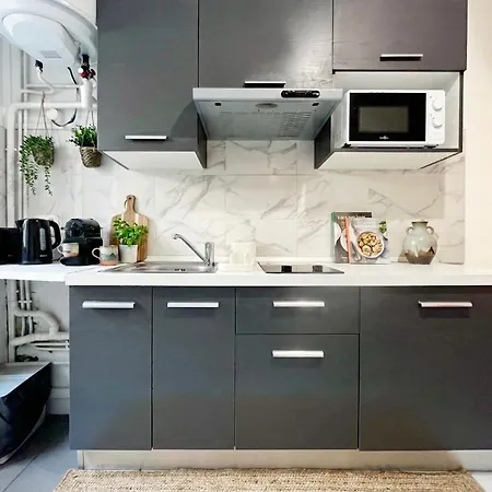 Petite Soeur - 6 & 8 Personnes - Check In H24 & Wifi Apartmán Lyon
